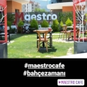 Maestro Cafe