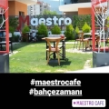 Maestro Cafe